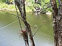 Mexico2005 130.jpg